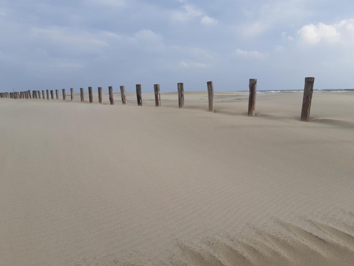 آرْلْ L'Effet Mer المظهر الخارجي الصورة